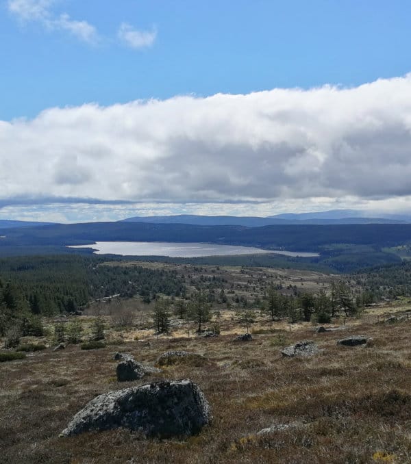Paysage de plateau de Lozère du massif central