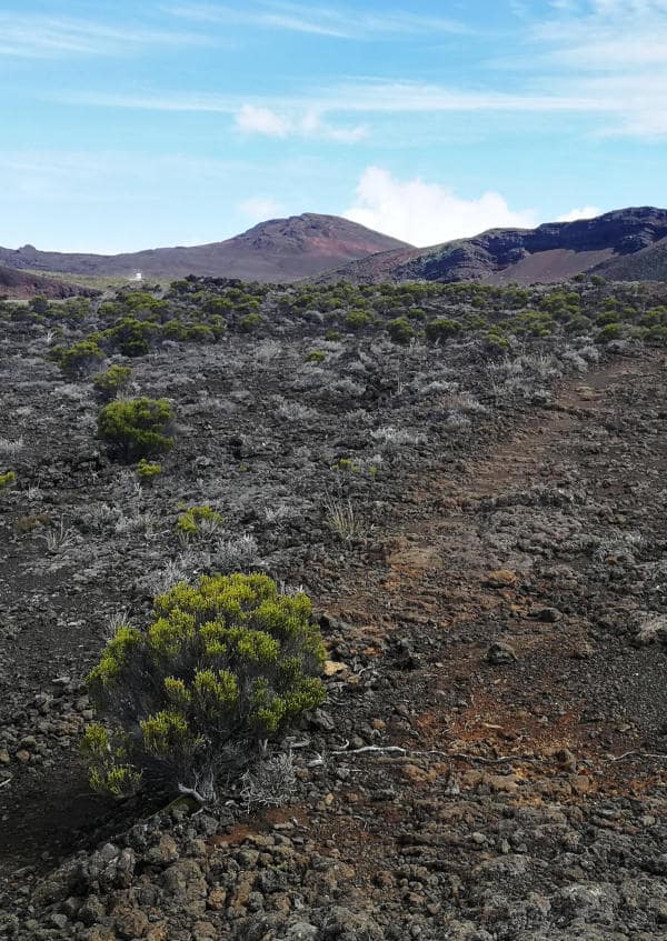Sentiers gratons piton de la fournaise volcan