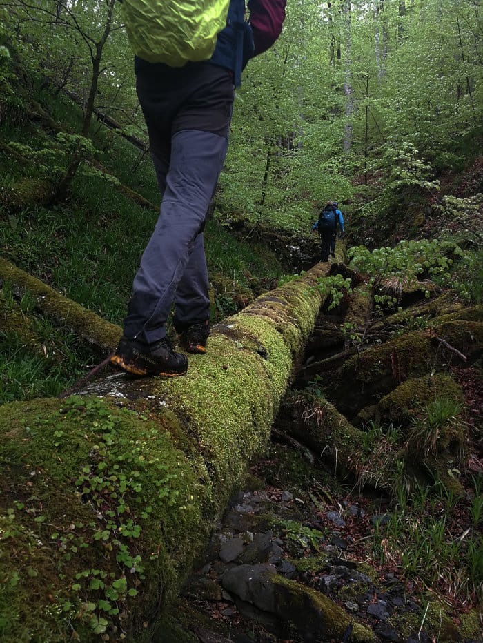 Randonnée en forêt hors sentiers au pays basque