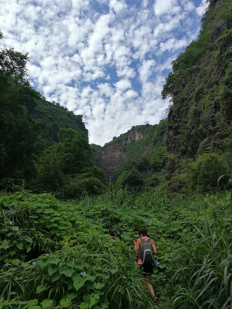ravine foisonnante en saison humide orientation