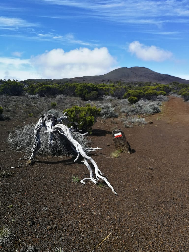GR R2 sentier plaine des sables Réunion et piton de la Fournaise en fond